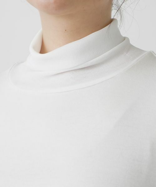 Leilian PLUS HOUSE / レリアンプラスハウス カットソー | 【店舗人気】ハイネックカットソー | 詳細12