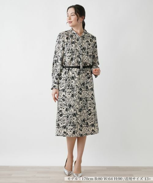 Leilian PLUS HOUSE / レリアンプラスハウス ドレス | 洗えるワンピース | 詳細1