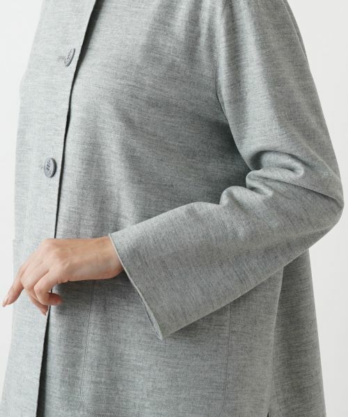 Leilian PLUS HOUSE / レリアンプラスハウス テーラードジャケット | ジャケット | 詳細9