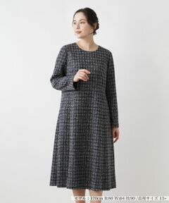 Leilian PLUS HOUSE / レリアンプラスハウス ドレス | 【店舗人気】洗えるワンピース【Leilian WHITE LABEL】