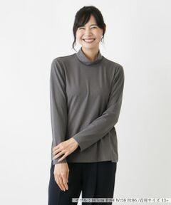 Leilian PLUS HOUSE / レリアンプラスハウス カットソー | ハイネックカットソー