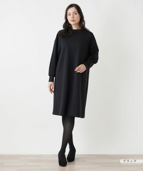 Leilian PLUS HOUSE / レリアンプラスハウス ドレス | 【店舗人気】ボトルネックワンピース【プラス企画】 | 詳細1