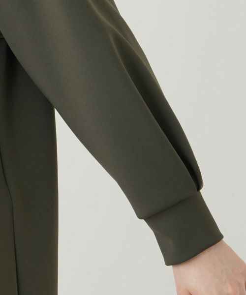 Leilian PLUS HOUSE / レリアンプラスハウス ドレス | 【店舗人気】ボトルネックワンピース【プラス企画】 | 詳細16