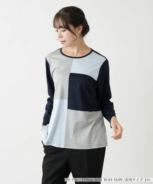 Leilian PLUS HOUSE/レリアンプラスハウス マルチブロックカットソー【プラス企画】 サックスブルー 13+