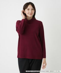 Leilian PLUS HOUSE / レリアンプラスハウス カットソー | 【店舗人気】ハイネックボーダーカットソー【プラス企画】