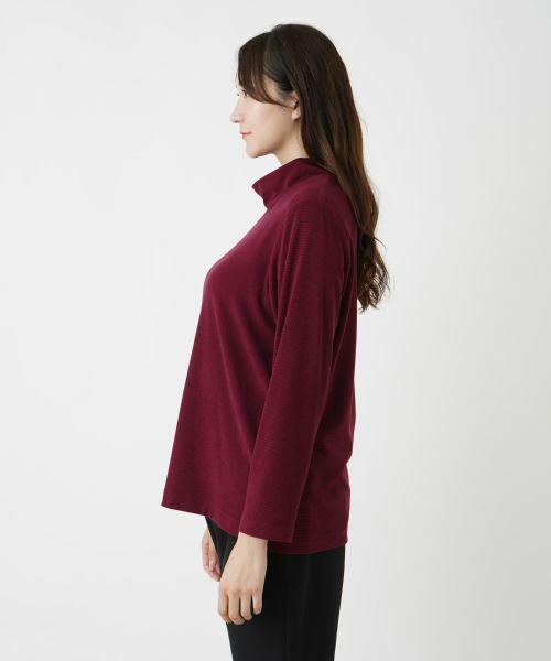 Leilian PLUS HOUSE / レリアンプラスハウス カットソー | 【店舗人気】ハイネックボーダーカットソー【プラス企画】 | 詳細11