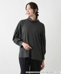 Leilian PLUS HOUSE / レリアンプラスハウス カットソー | ハイネックカットソー