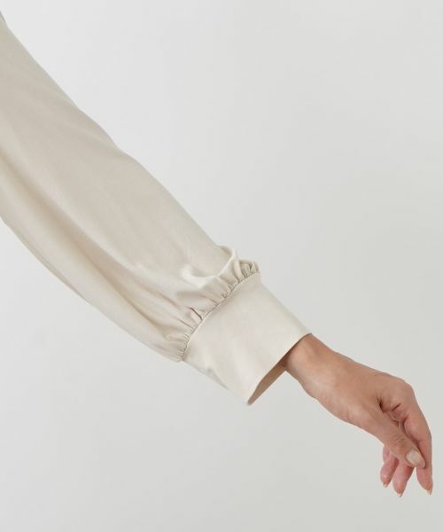 Leilian PLUS HOUSE / レリアンプラスハウス カットソー | ハイネックカットソー | 詳細13