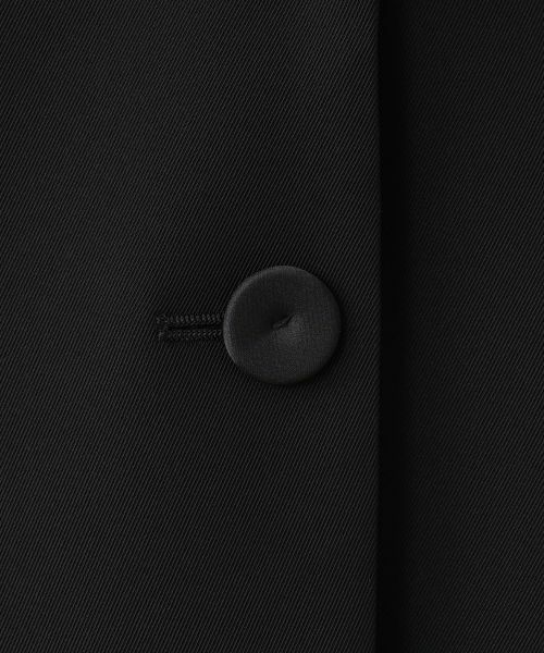 Leilian PLUS HOUSE / レリアンプラスハウス テーラードジャケット | ブレザー | 詳細15