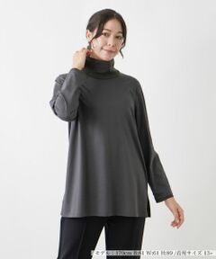 Leilian PLUS HOUSE / レリアンプラスハウス カットソー | ハイネックロングカットソー【プラス企画】