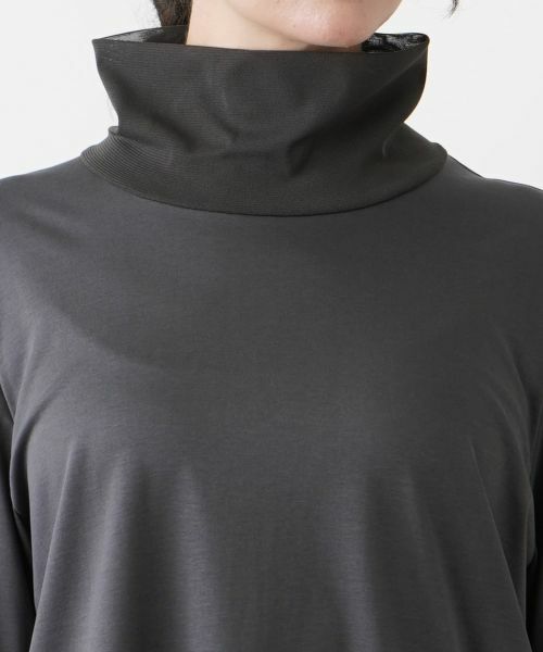 Leilian PLUS HOUSE / レリアンプラスハウス カットソー | ハイネックロングカットソー【プラス企画】 | 詳細10