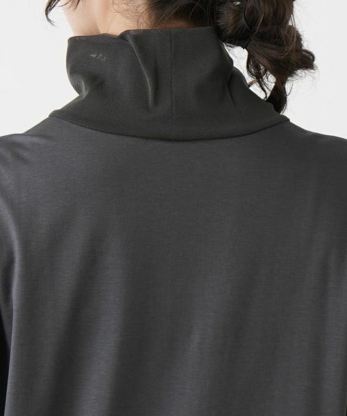 Leilian PLUS HOUSE / レリアンプラスハウス カットソー | ハイネックロングカットソー【プラス企画】 | 詳細11