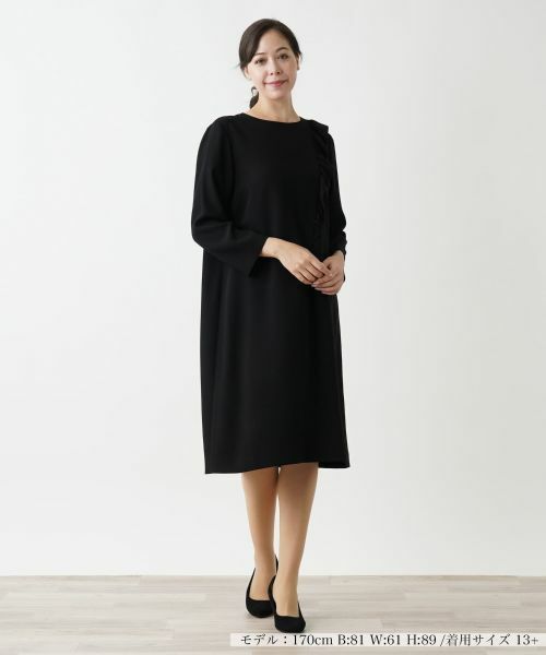Leilian PLUS HOUSE / レリアンプラスハウス ドレス | ノーカラーワンピース【プラス企画】 | 詳細1