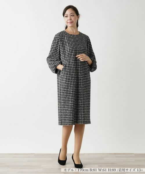 Leilian PLUS HOUSE / レリアンプラスハウス ドレス | サックワンピース【プラス企画】 | 詳細1