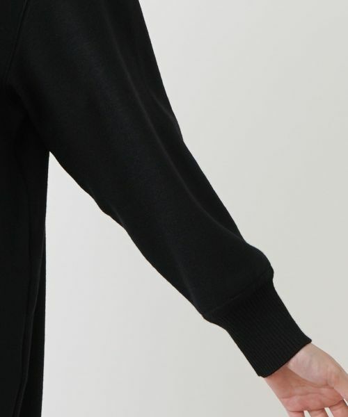 Leilian PLUS HOUSE / レリアンプラスハウス ドレス | 【店舗人気】タートルネックワンピース【プラス企画】 | 詳細10