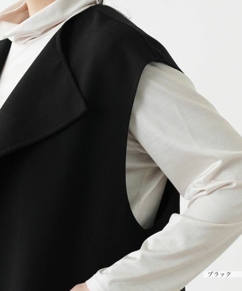 Leilian PLUS HOUSE / レリアンプラスハウス テーラードジャケット | ベスト【プラス企画】 | 詳細9