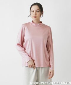 Leilian PLUS HOUSE / レリアンプラスハウス カットソー | シルクハイネックカットソー