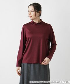 Leilian PLUS HOUSE / レリアンプラスハウス カットソー | シルクハイネックカットソー