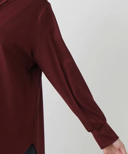 Leilian PLUS HOUSE / レリアンプラスハウス カットソー | ボウタイカットソー | 詳細19