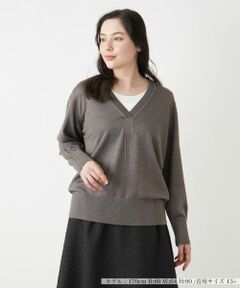 Leilian PLUS HOUSE / レリアンプラスハウス ニット・セーター | トリムVネックニット