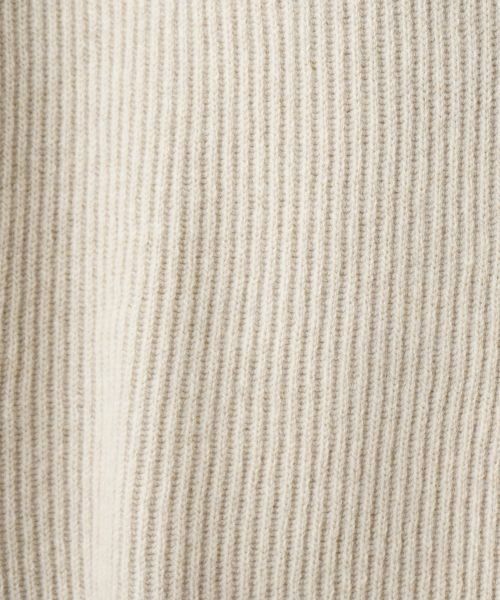 Leilian PLUS HOUSE / レリアンプラスハウス ニット・セーター | Vネックニットベスト | 詳細4