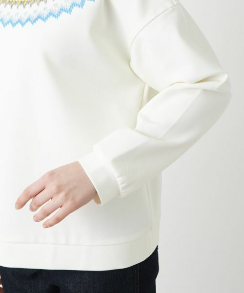 Leilian PLUS HOUSE / レリアンプラスハウス カットソー | ラウンドネックニット | 詳細13