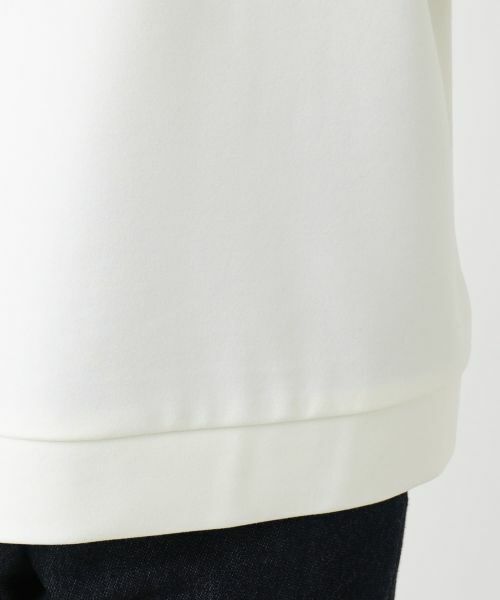 Leilian PLUS HOUSE / レリアンプラスハウス カットソー | ラウンドネックニット | 詳細14