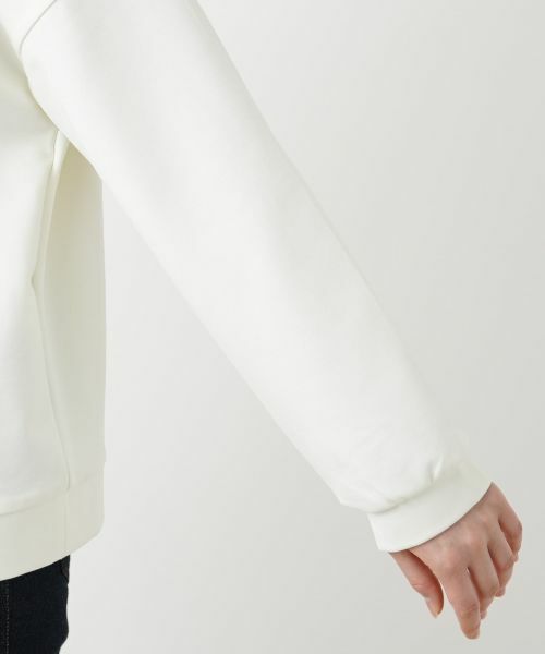 Leilian PLUS HOUSE / レリアンプラスハウス カットソー | ラウンドネックニット | 詳細15
