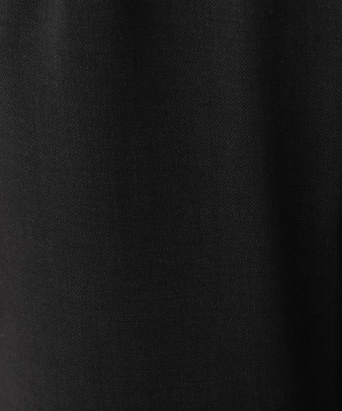 Leilian PLUS HOUSE / レリアンプラスハウス その他パンツ | クロップドスキニーパンツ【Leilian WHITE LABEL】 | 詳細15