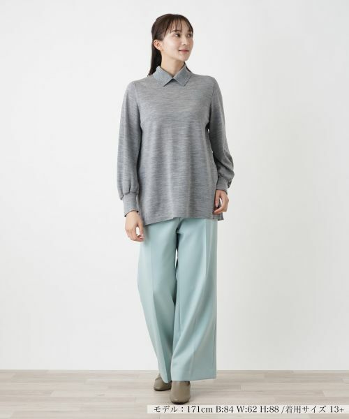 Leilian PLUS HOUSE / レリアンプラスハウス ニット・セーター | ギャザースリーブニット【BOURGE】 | 詳細7