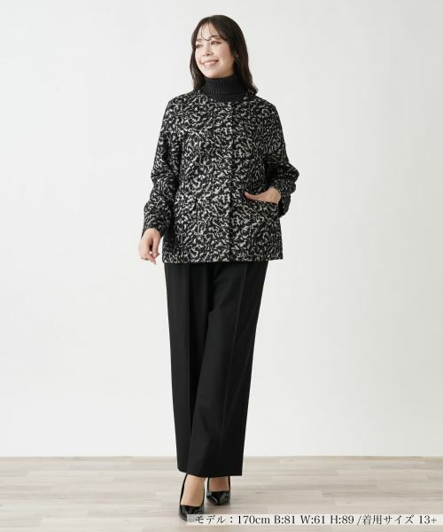 Leilian PLUS HOUSE / レリアンプラスハウス テーラードジャケット | ジャケット【LIMONTA】【BOURGE】 | 詳細1