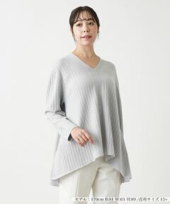 Leilian PLUS HOUSE / レリアンプラスハウス ニット・セーター | Vネックセーター【BOURGE】