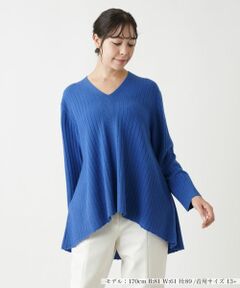 Leilian PLUS HOUSE / レリアンプラスハウス ニット・セーター | Vネックセーター【BOURGE】