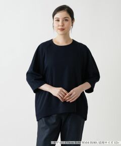 Leilian PLUS HOUSE / レリアンプラスハウス シャツ・ブラウス | クルーネックプルオーバーブラウス【BOURGE】