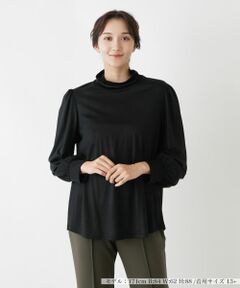 Leilian PLUS HOUSE / レリアンプラスハウス カットソー | ウールハイネックカットソー