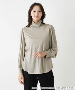 Leilian PLUS HOUSE / レリアンプラスハウス カットソー | ウールハイネックカットソー