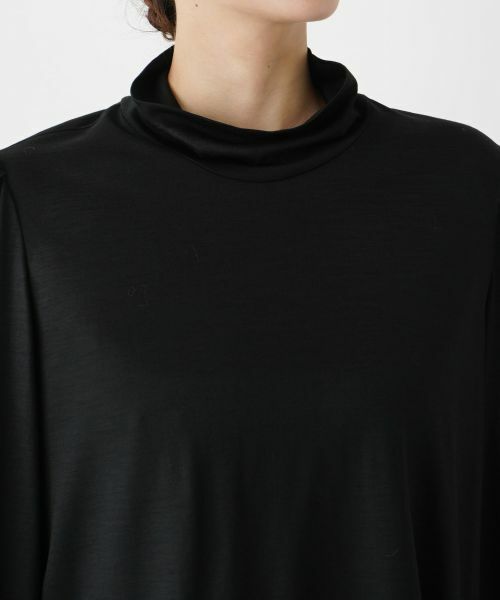 Leilian PLUS HOUSE / レリアンプラスハウス カットソー | ウールハイネックカットソー | 詳細10