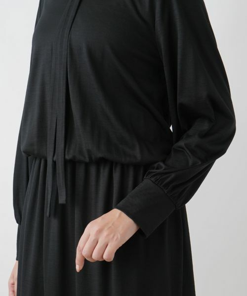 Leilian PLUS HOUSE / レリアンプラスハウス ドレス | ボウタイワンピース | 詳細11