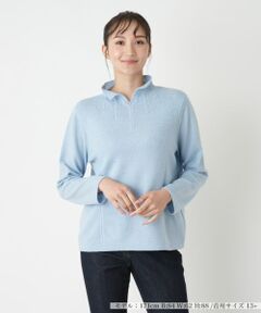 Leilian PLUS HOUSE / レリアンプラスハウス ニット・セーター | スリットハイネックニット【Leilian WHITE LABEL】