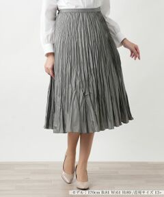 Leilian PLUS HOUSE / レリアンプラスハウス ロング・マキシ丈スカート | 【店舗人気】洗えるプリーツスカート