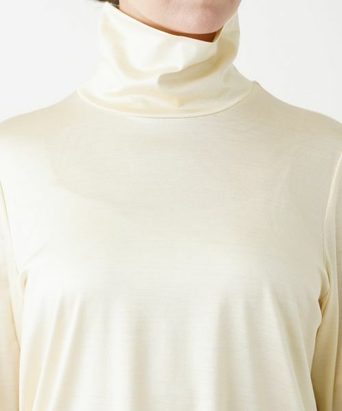 Leilian PLUS HOUSE / レリアンプラスハウス カットソー | 【店舗人気】ハイネックカットソー | 詳細22