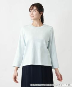 Leilian PLUS HOUSE / レリアンプラスハウス ニット・セーター | 【店舗人気】クルーネックニット【Leilian WHITE LABEL】