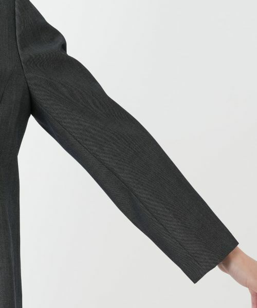 Leilian PLUS HOUSE / レリアンプラスハウス テーラードジャケット | 【店舗人気】ノッチドラペルブレザー【Leilian WHITE LABEL】 | 詳細9