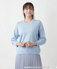 Leilian PLUS HOUSE / レリアンプラスハウス ニット・セーター | 【店舗人気】クルーネックニット