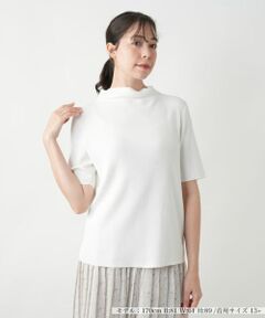 Leilian PLUS HOUSE / レリアンプラスハウス ニット・セーター | ハイネックニット