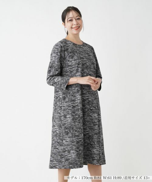 Leilian PLUS HOUSE/レリアンプラスハウス 【店舗人気】フレアワンピース【Leilian WHITE LABEL】 ブラック 13+