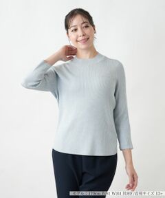 Leilian PLUS HOUSE / レリアンプラスハウス ニット・セーター | 【店舗人気】ラメリブニット