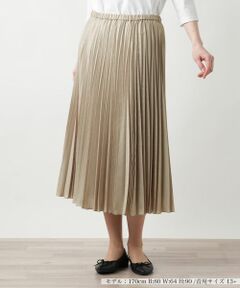Leilian PLUS HOUSE / レリアンプラスハウス ロング・マキシ丈スカート | 【店舗人気】プリーツスカート