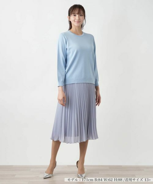 Leilian PLUS HOUSE / レリアンプラスハウス ロング・マキシ丈スカート | 【店舗人気】プリーツロングスカート | 詳細10
