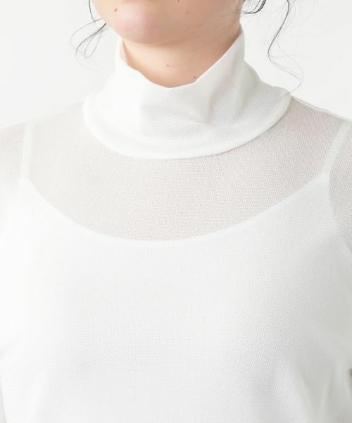 Leilian PLUS HOUSE / レリアンプラスハウス カットソー | 【店舗人気】タートルネックプルオーバー | 詳細25